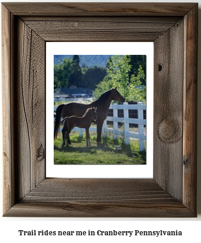 trail rides near me in Cranberry, Pennsylvania